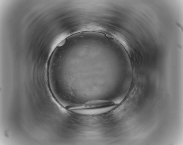 X0000096471103200801241423