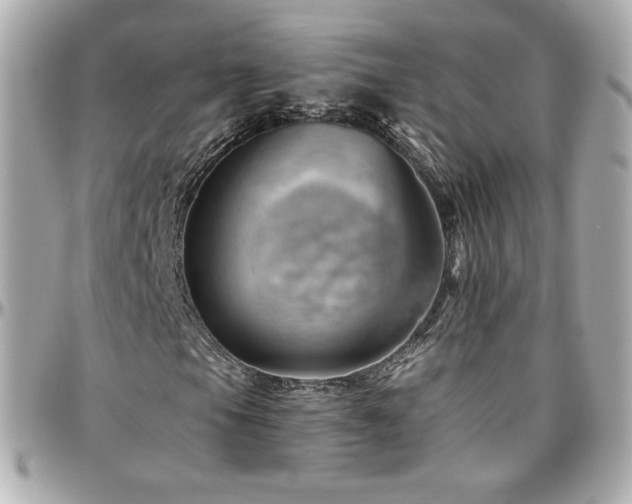 X0000096471105200801241422