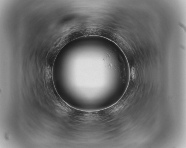 X0000096471107200801241423