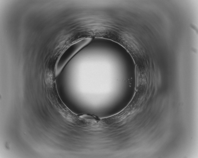 X0000096471108200801241423