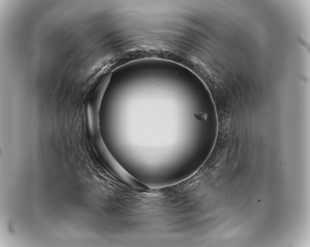 X0000096471110200801241423