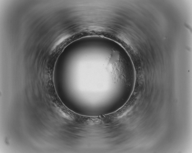 X0000096471112200801241423