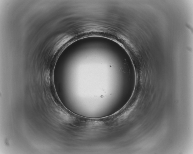 X0000096471113200801241423