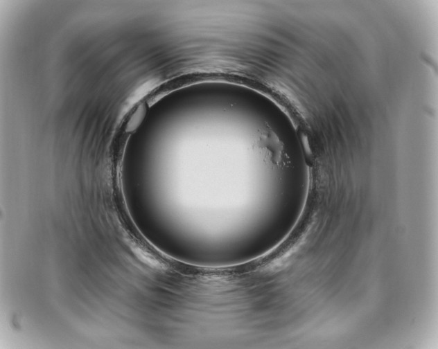 X0000096471114200801241423