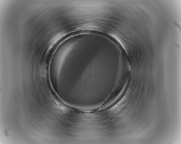 X0000096471115200801241423