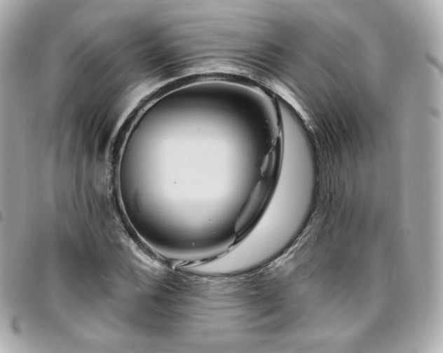 X0000096471116200801241423