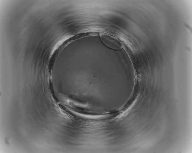 X0000096471117200801241423