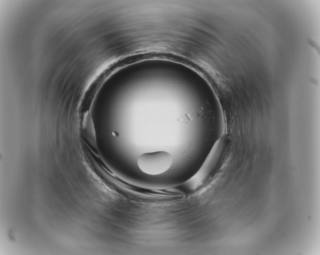 X0000096471118200801241423