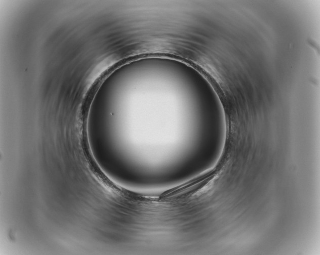 X0000096471119200801241423