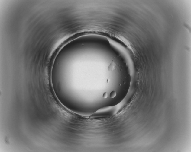 X0000096471120200801241423