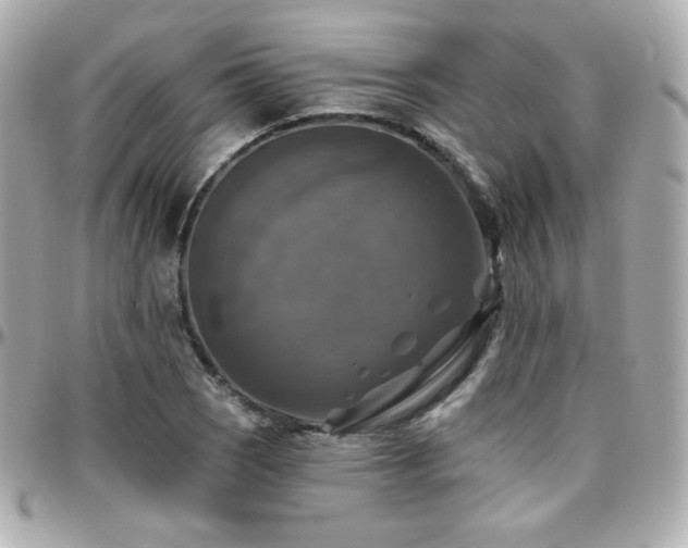 X0000096471121200801241423