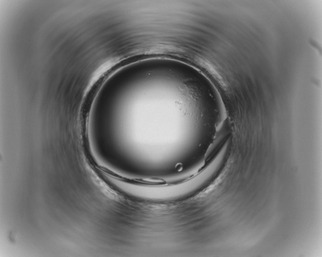 X0000096471122200801241423