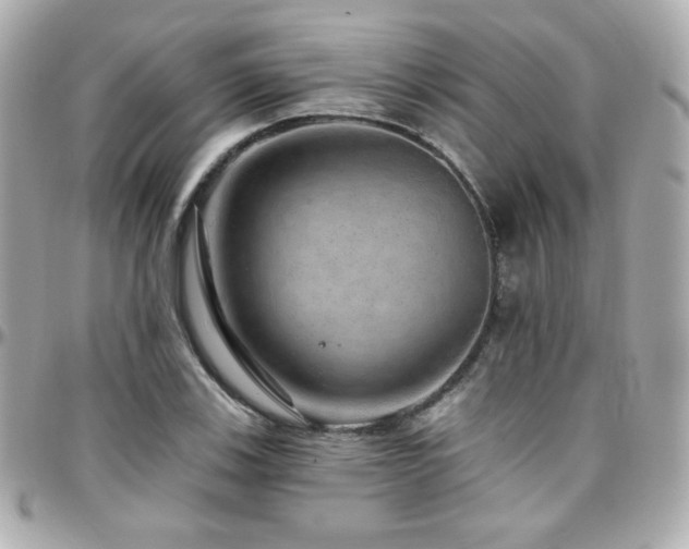 X0000096471123200801241423