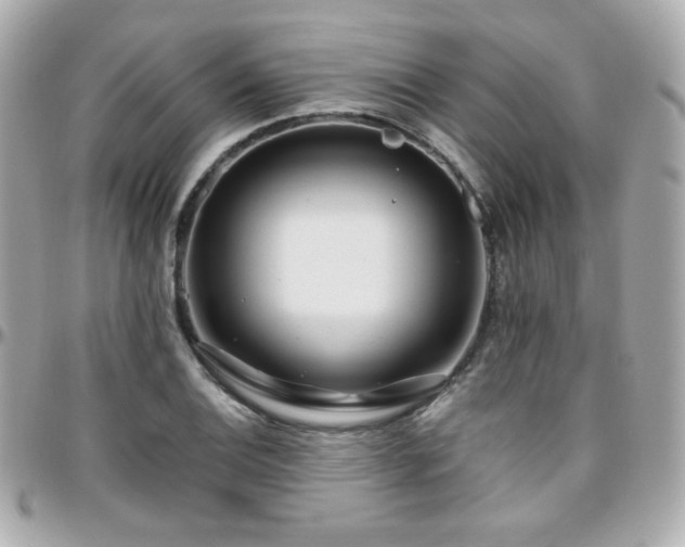 X0000096471124200801241423