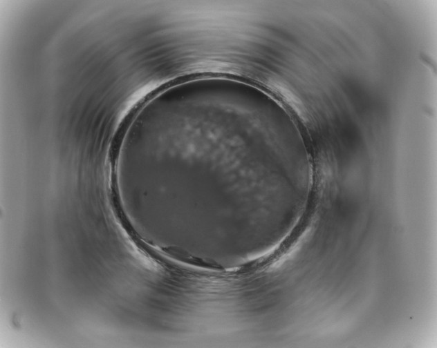 X0000096471125200801241423