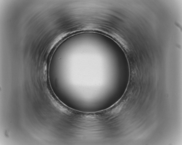 X0000096471126200801241423