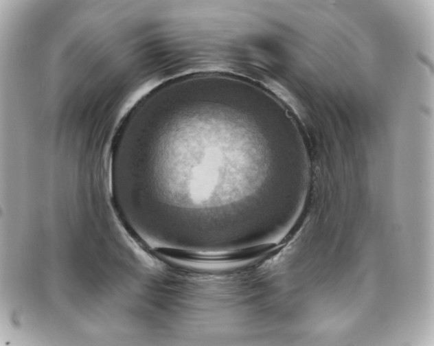 X0000096471127200801241423