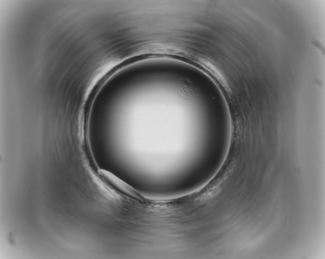 X0000096471128200801241423