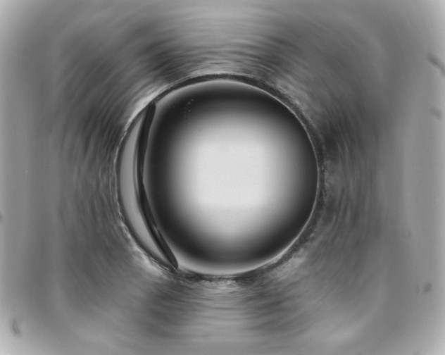 X0000096471129200801241423