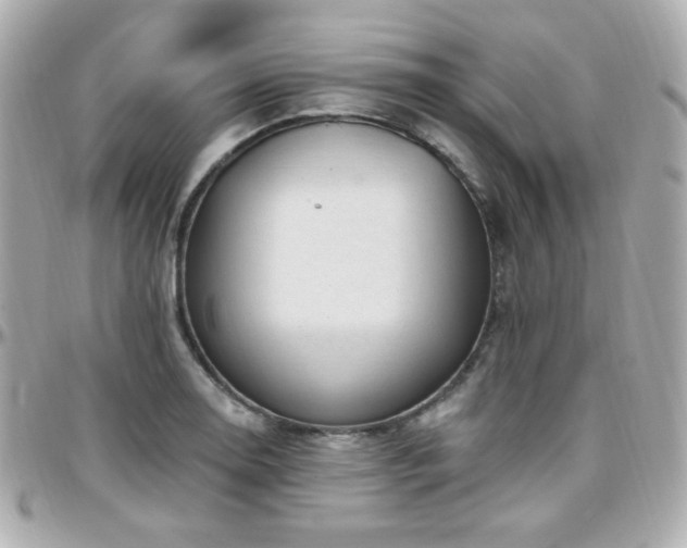 X0000096471130200801241423