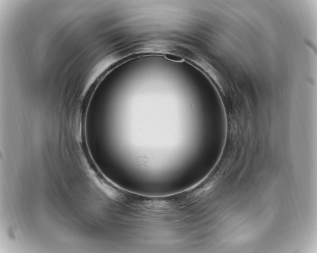 X0000096471131200801241423