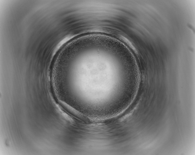 X0000096471133200801241423