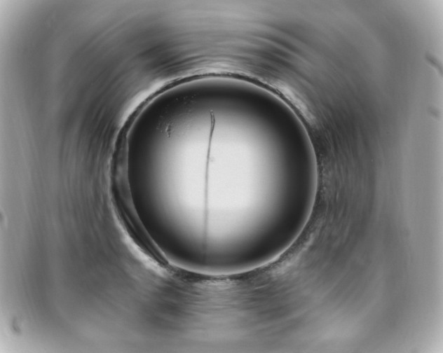 X0000096471134200801241423