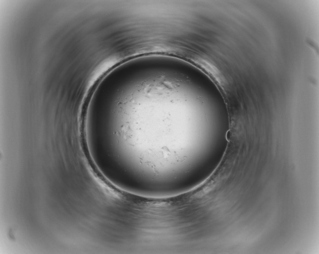 X0000096471135200801241423