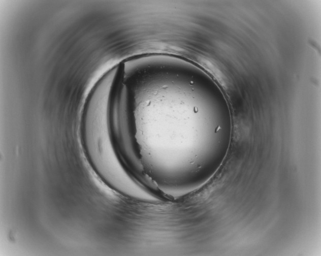 X0000096471136200801241423