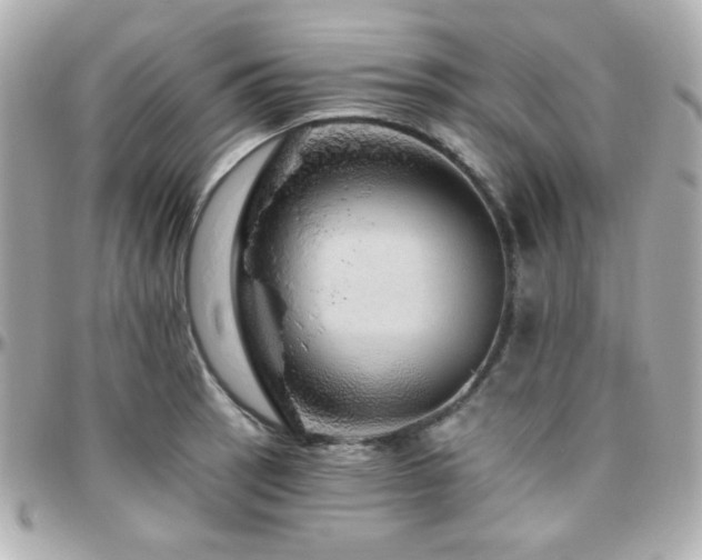 X0000096471137200801241423