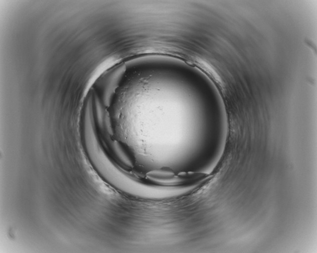 X0000096471138200801241423