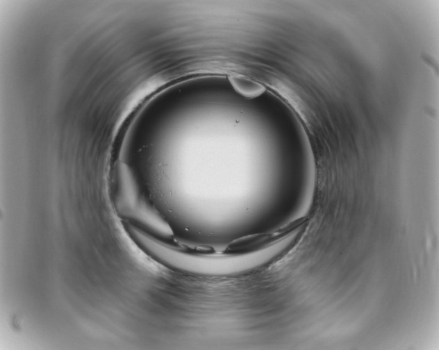 X0000096471139200801241423