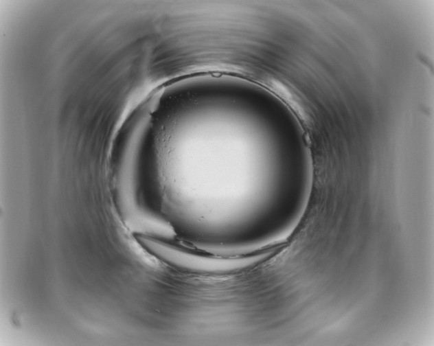 X0000096471140200801241423