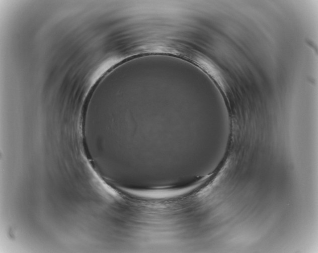 X0000096471141200801241423