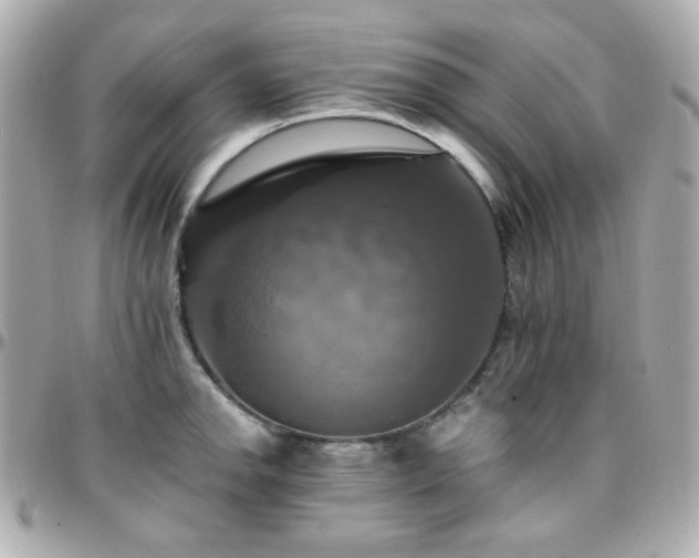 X0000096471142200801241423