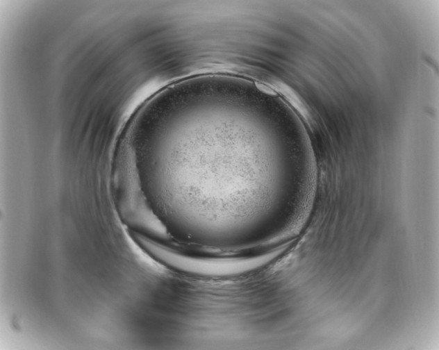 X0000096471143200801241423