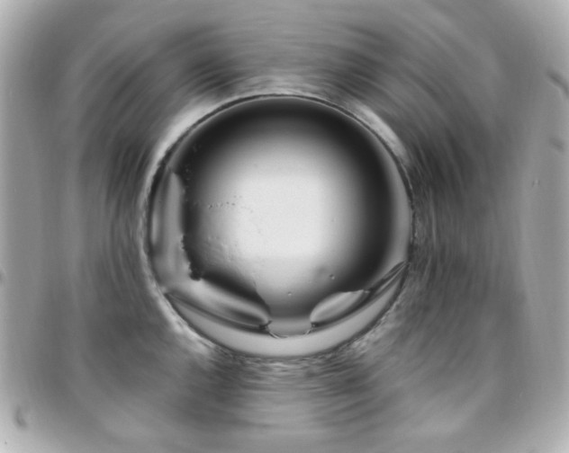 X0000096471144200801241423