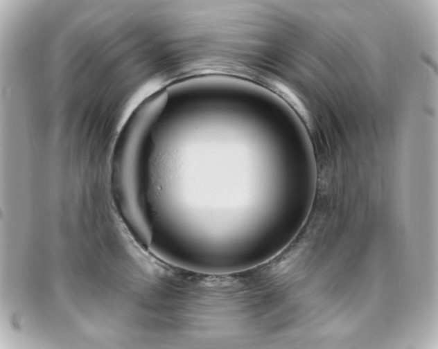 X0000096471146200801241423