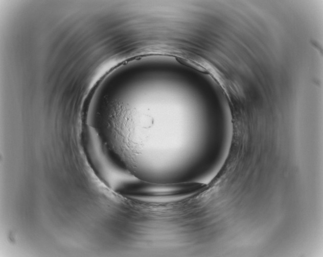 X0000096471147200801241423