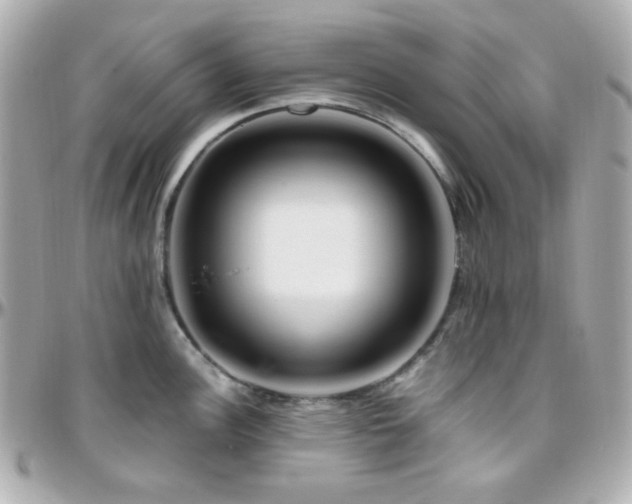 X0000096471148200801241423