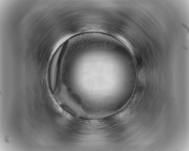 X0000096471149200801241423