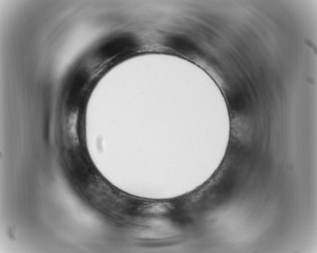 X0000096471150200801241423