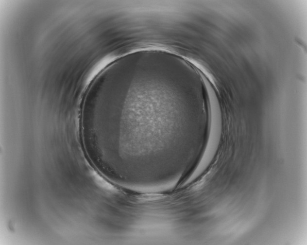 X0000096471151200801241423