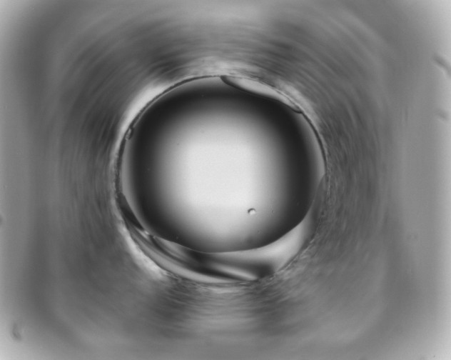 X0000096471152200801241423