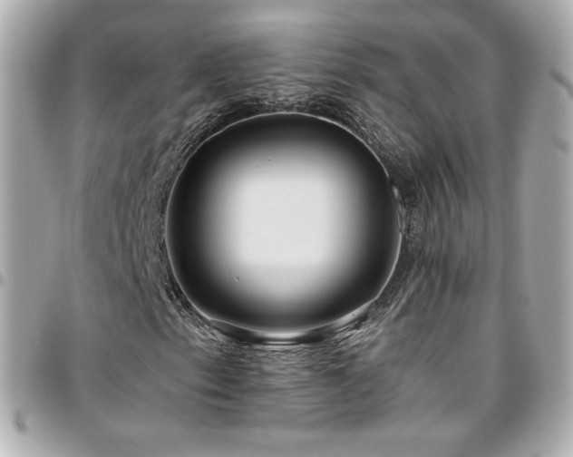 X0000096471153200801241422