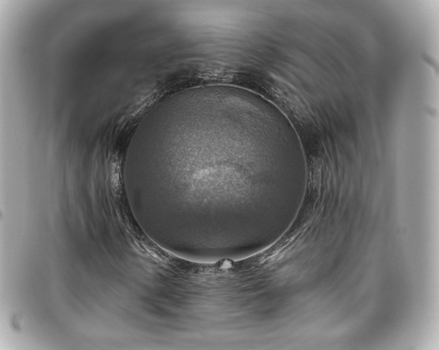 X0000096471154200801241422