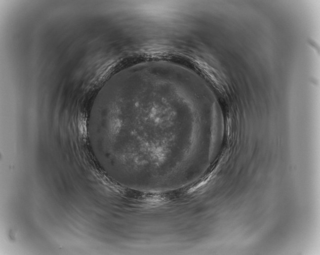 X0000096471155200801241422