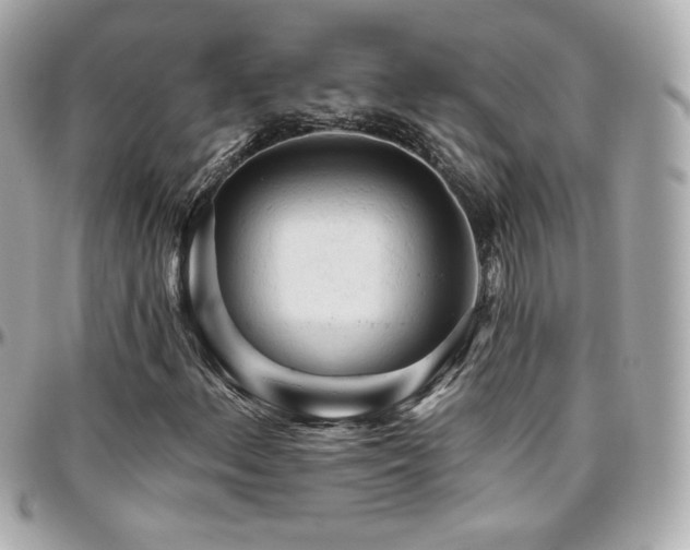 X0000096471156200801241422