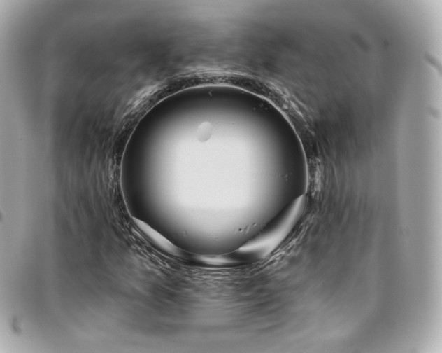 X0000096471157200801241422