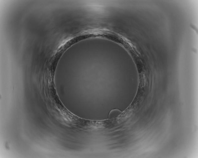 X0000096471158200801241422